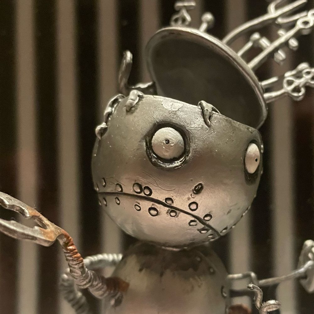 The Iron Skeptic