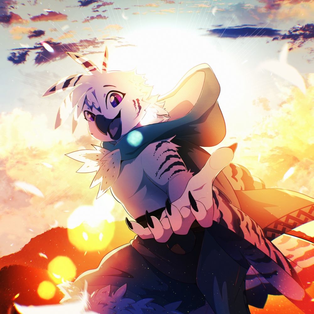 Comet