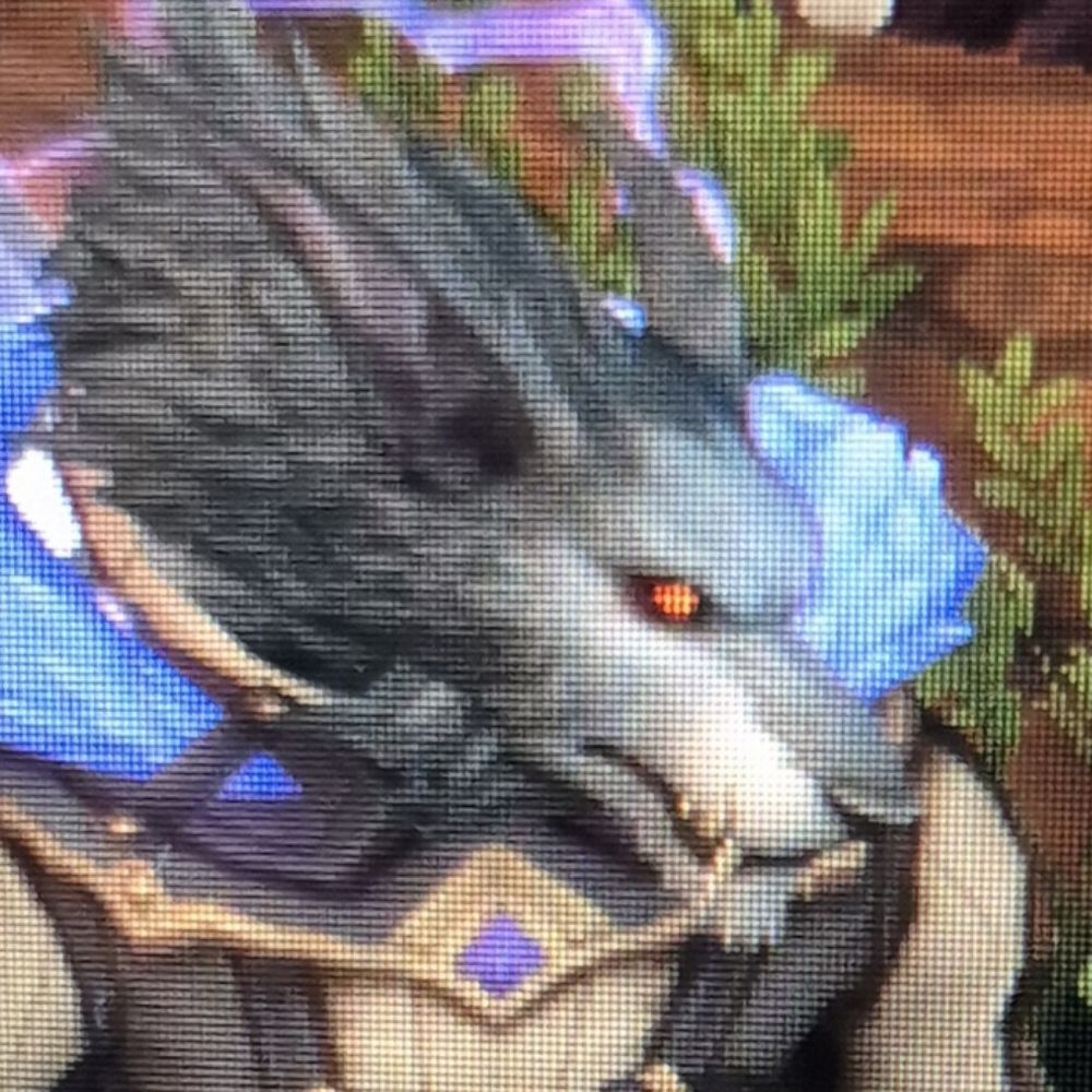 Shootyawoos