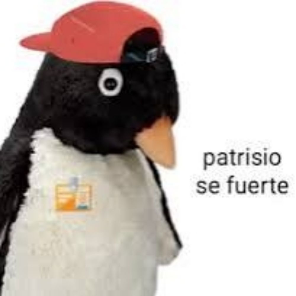 patrisio não-terapeutizado