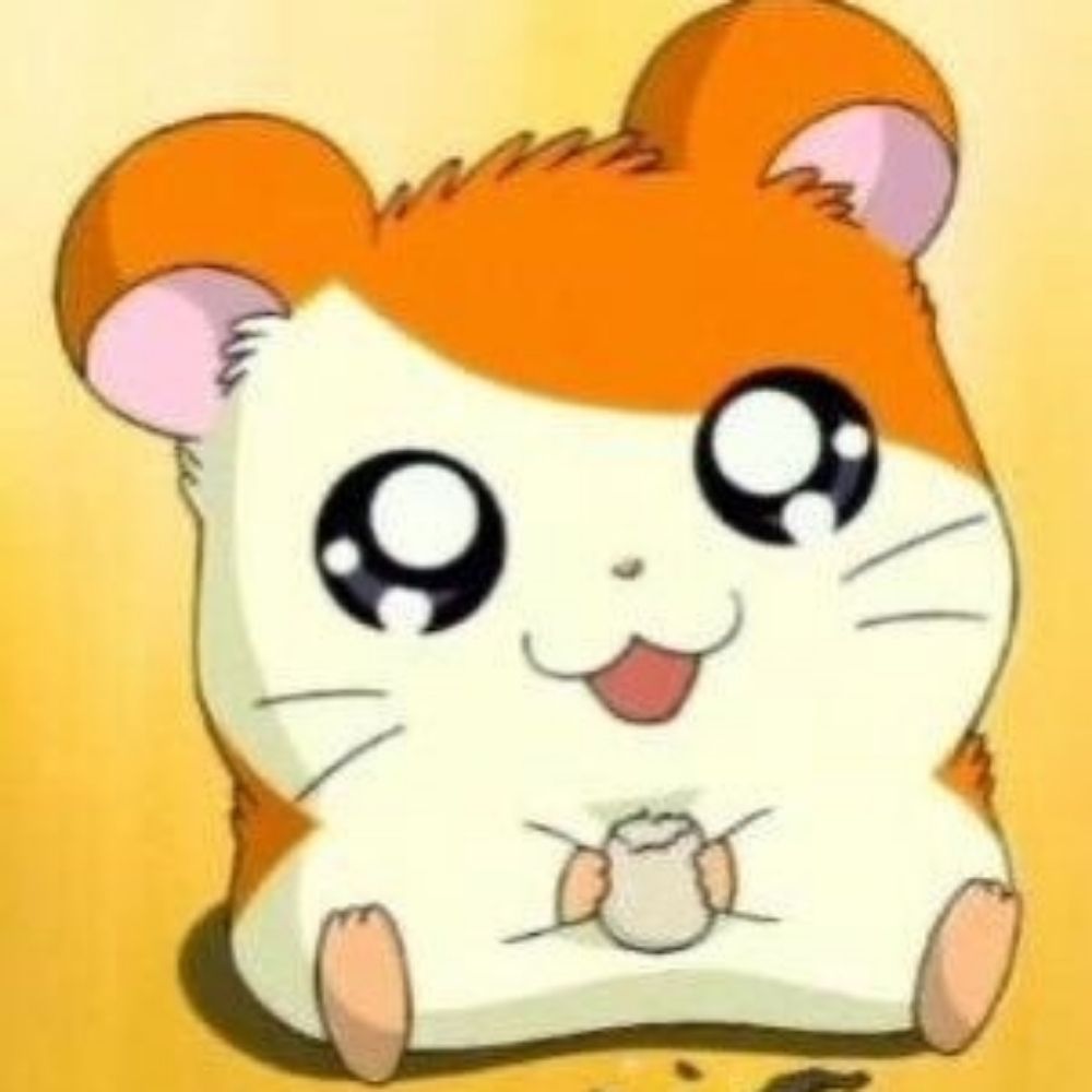 🐹햄향
