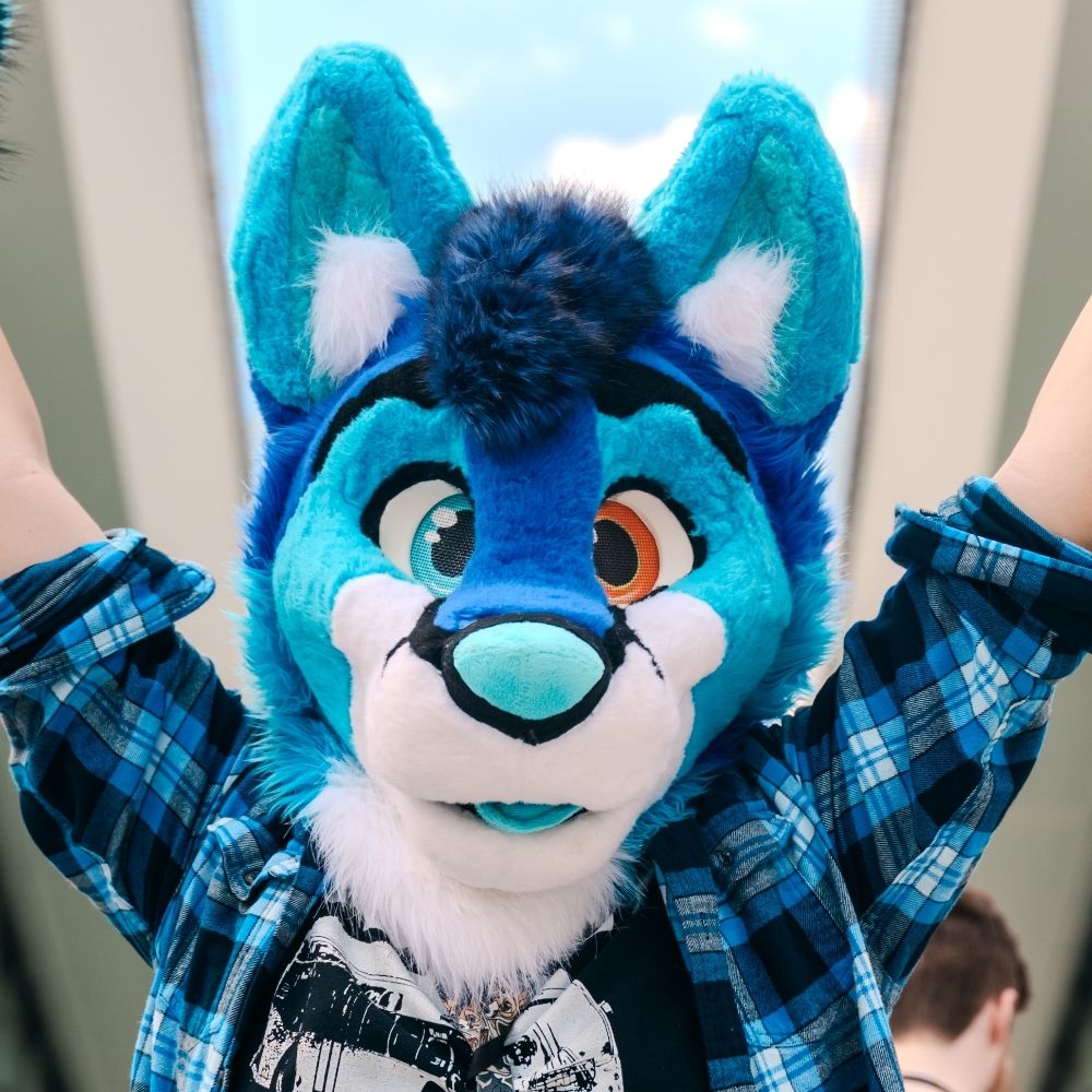 Find me @tegfox.blue