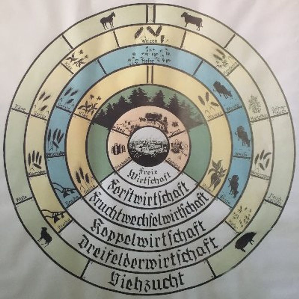 IAMO Land System Group