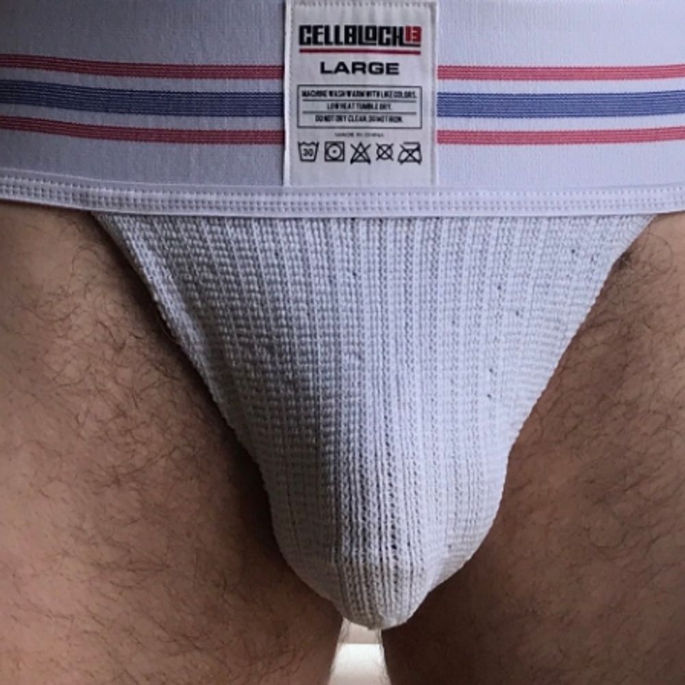 Hung & Horny Scottishbear XXX 🏴󠁧󠁢󠁳󠁣󠁴󠁿🏳️‍🌈🏴󠁧󠁢󠁳󠁣󠁴󠁿