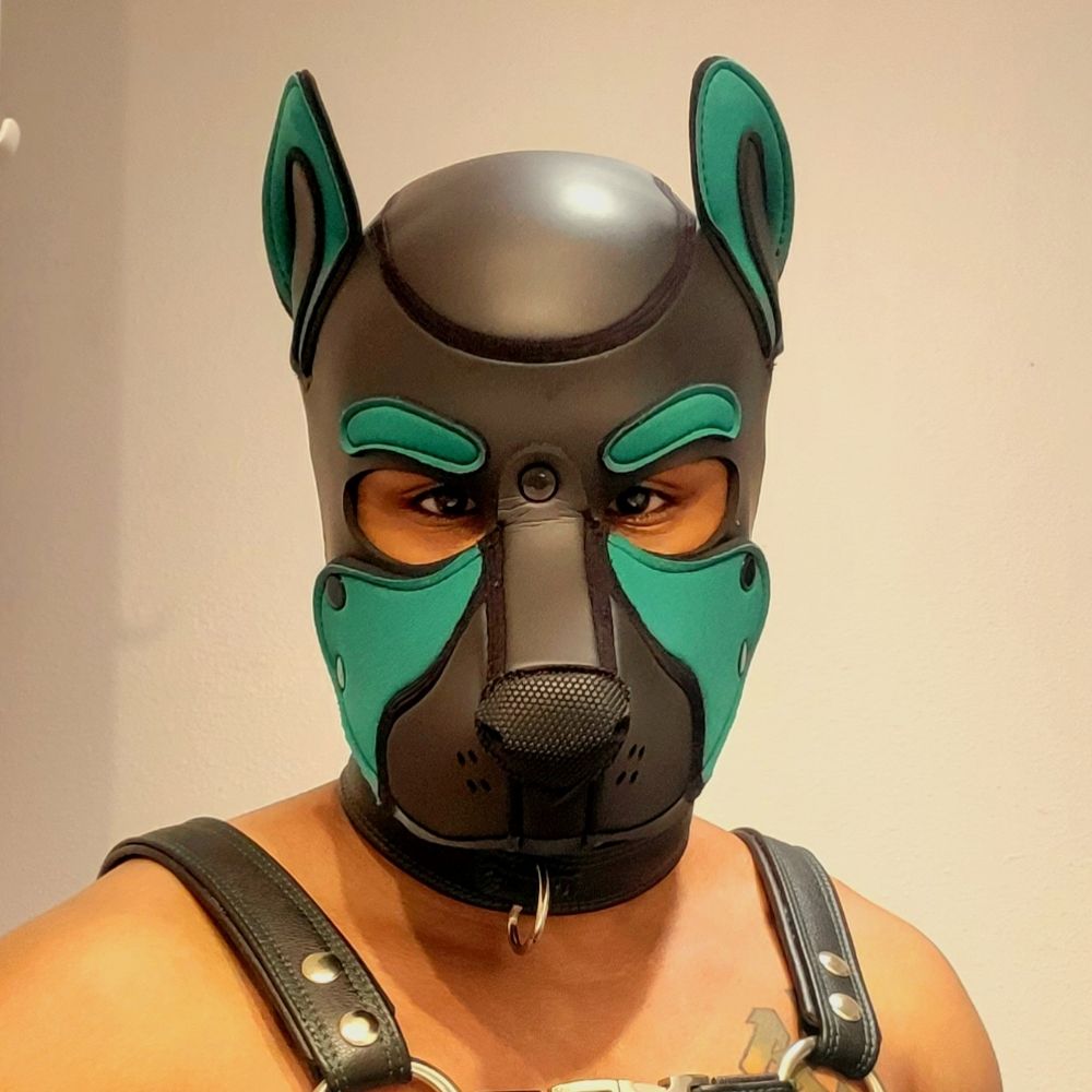 PupNeutron
