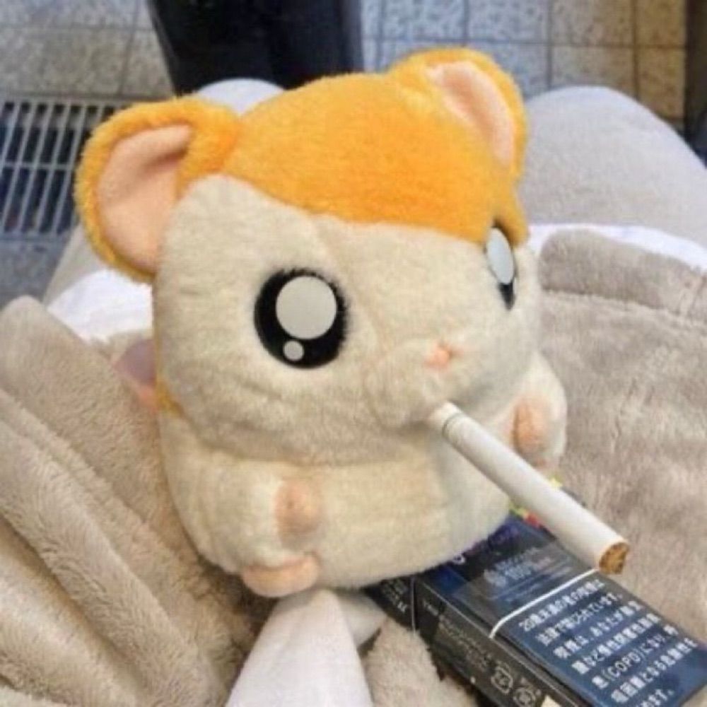 루미
