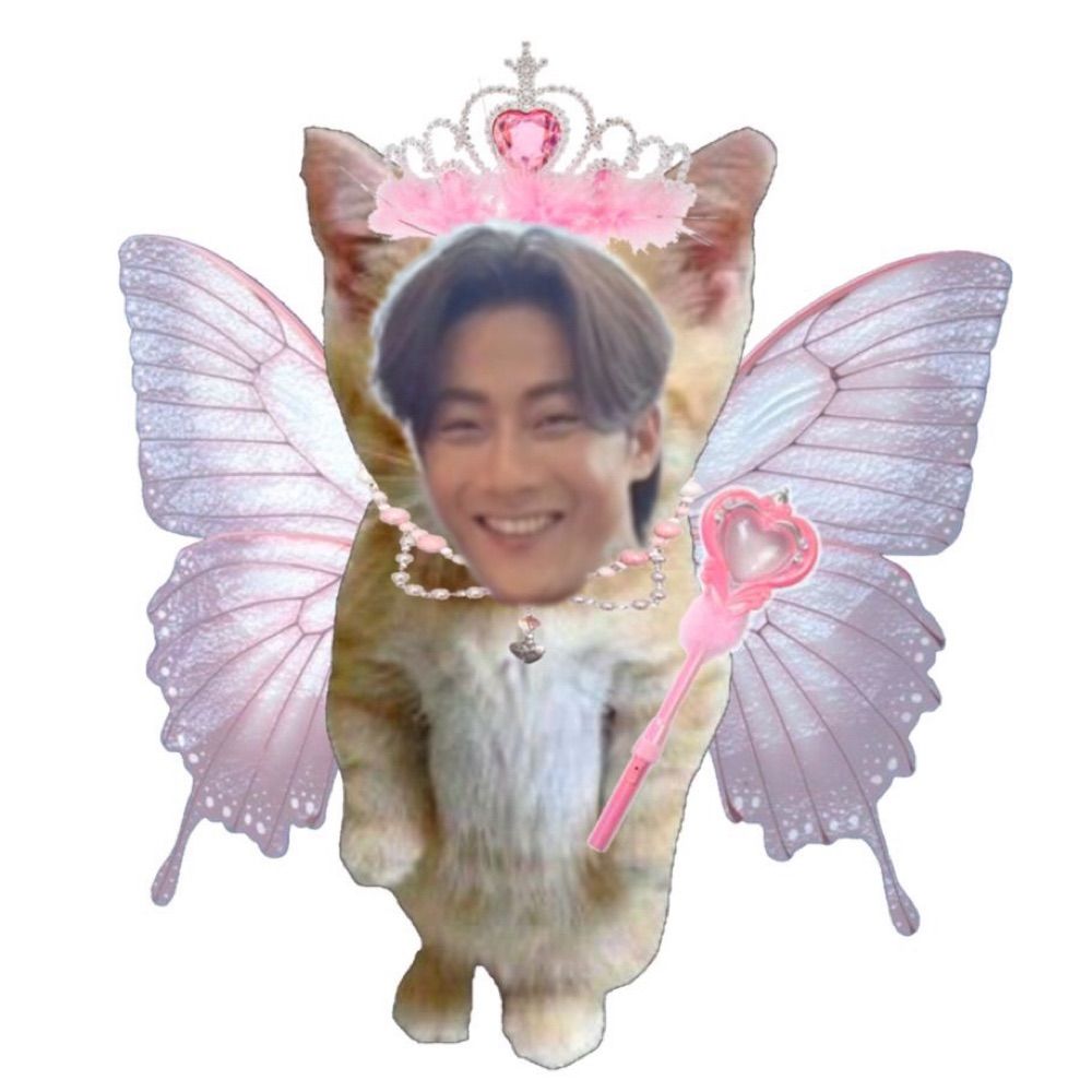 จองจี้คิตตี้ 🎀