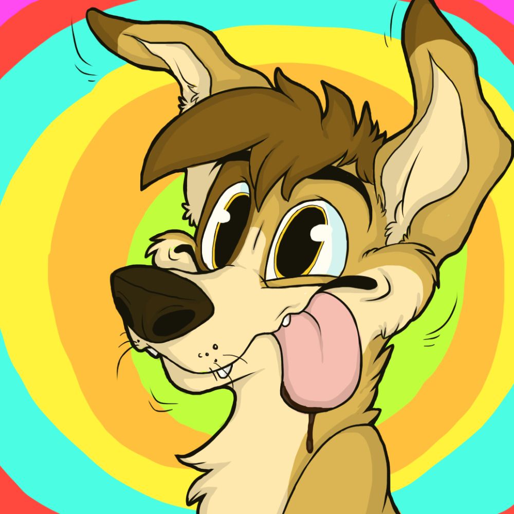 Pakyto Dingo