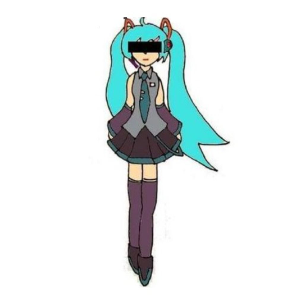 シュワイP