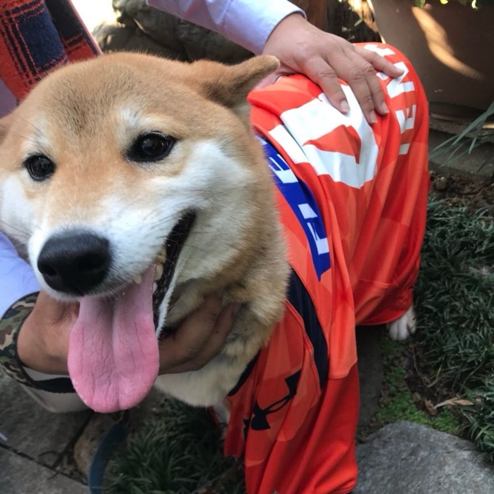 くま蔵