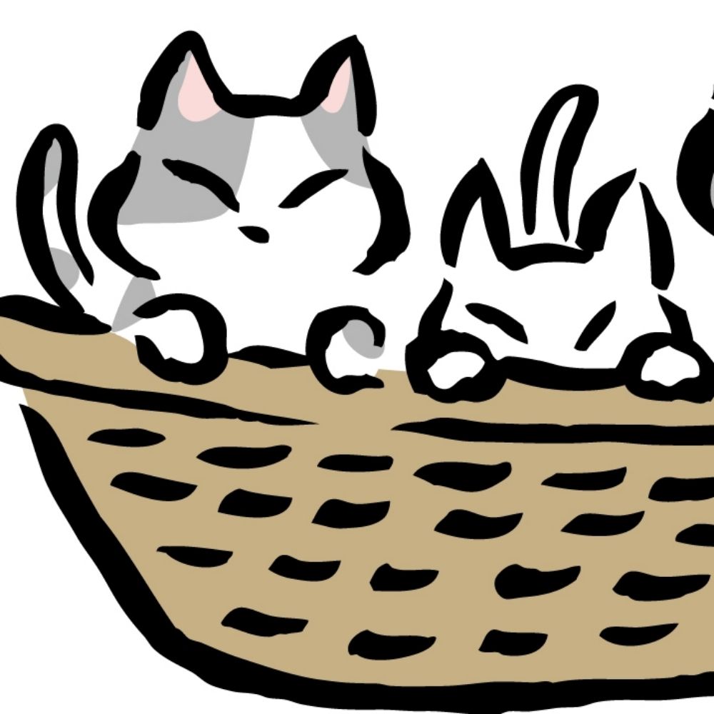 煤