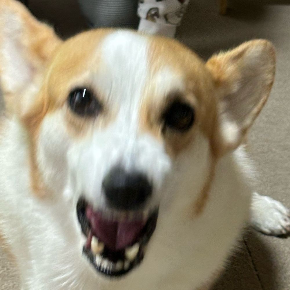 れいぶン
