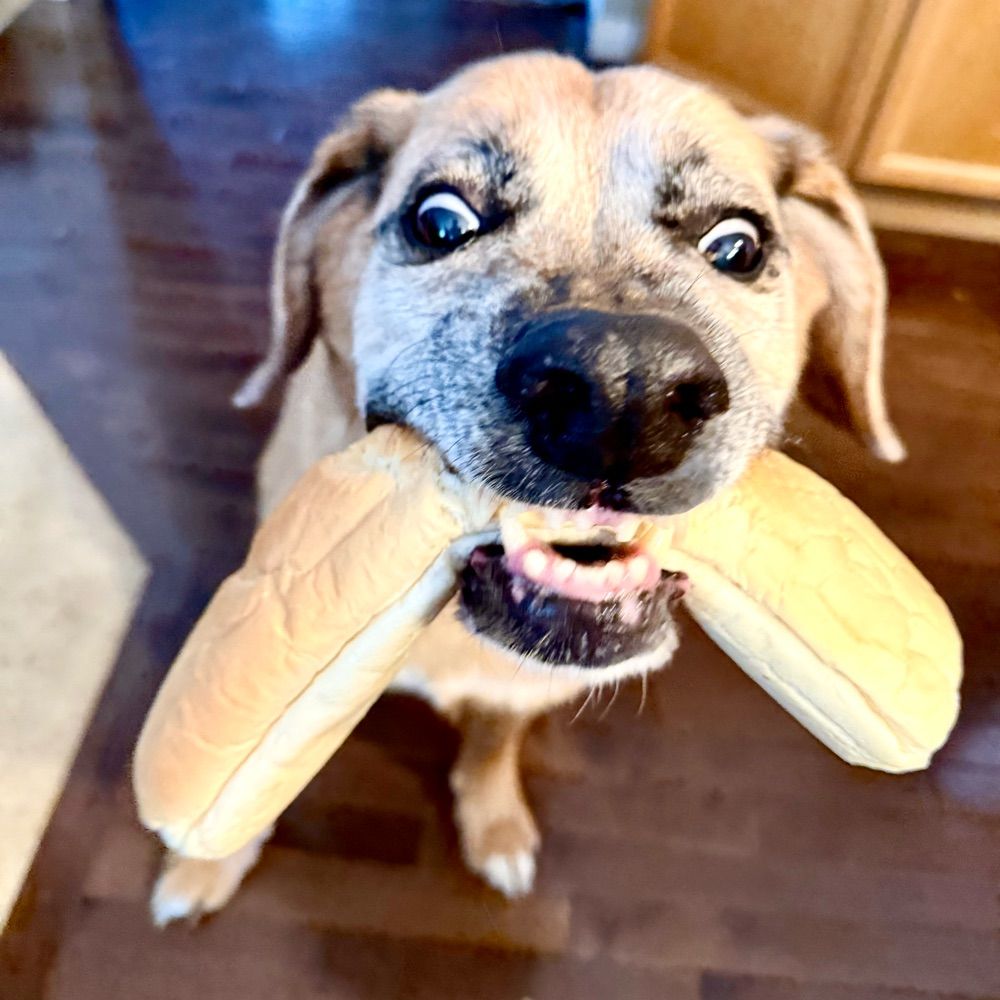 Mookalicious