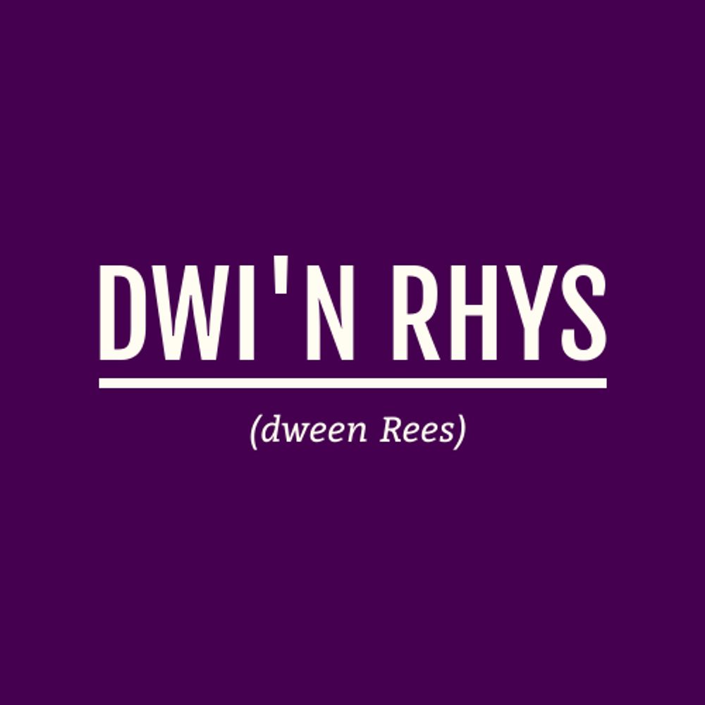 Dwi'n Rhys