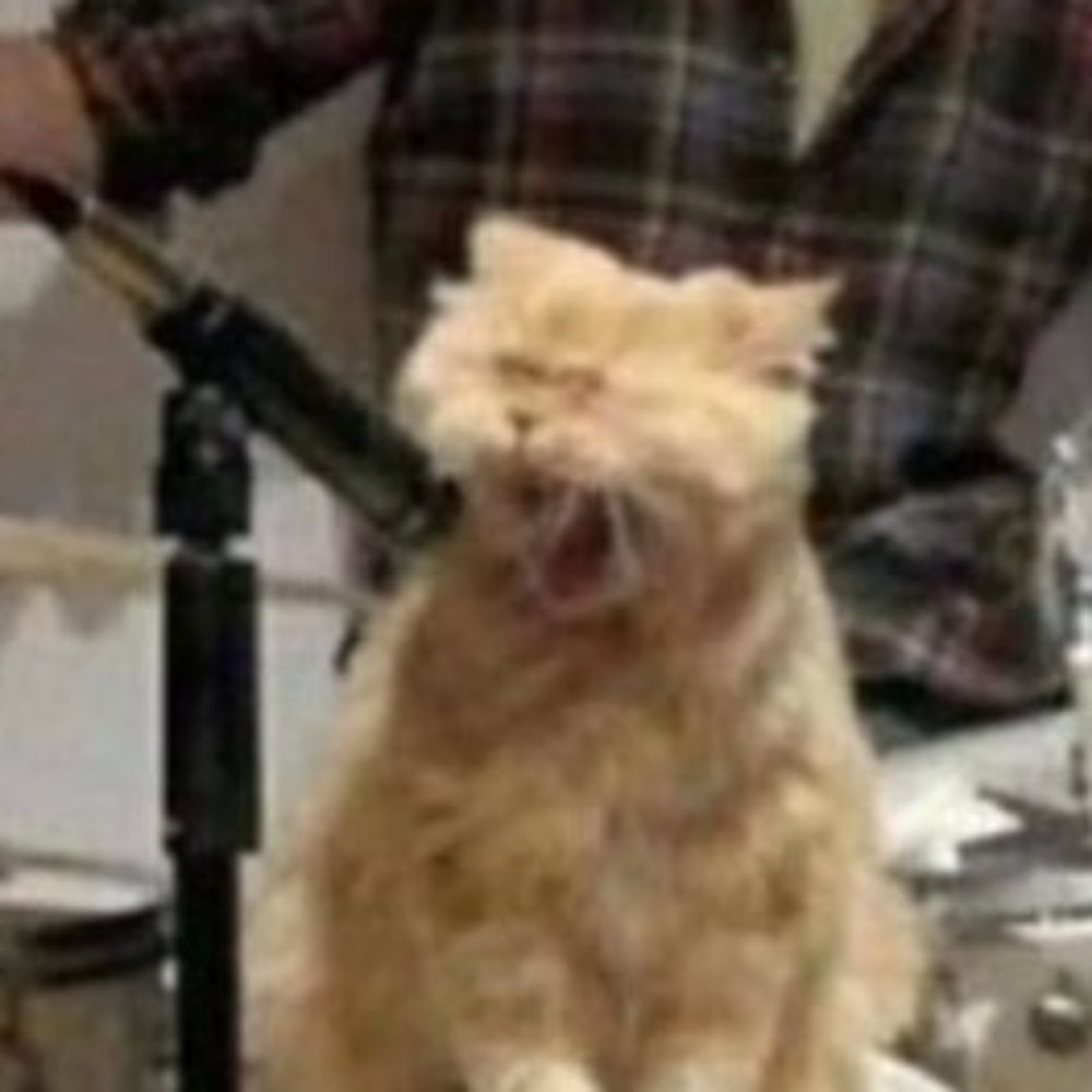 빽홈