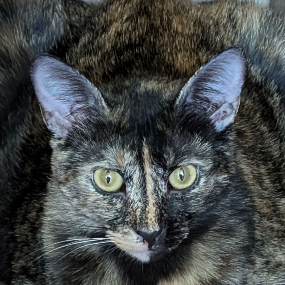Olga