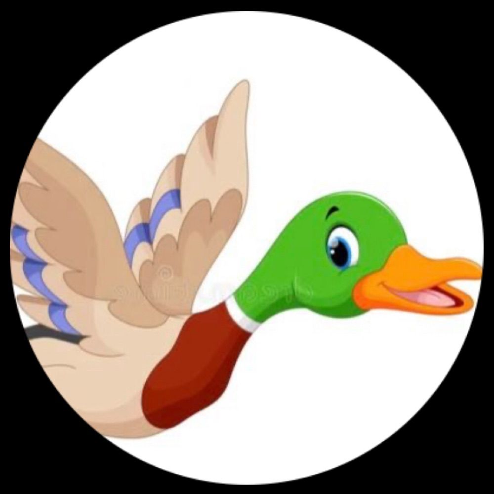H The Duck