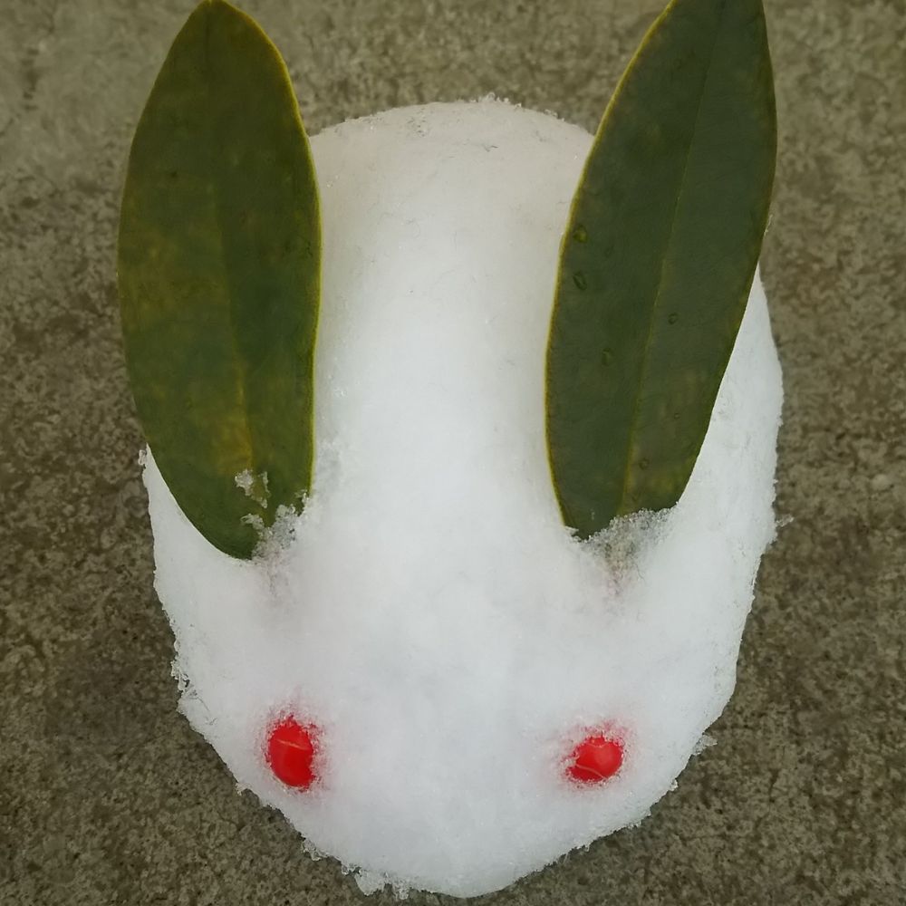 恵蘭