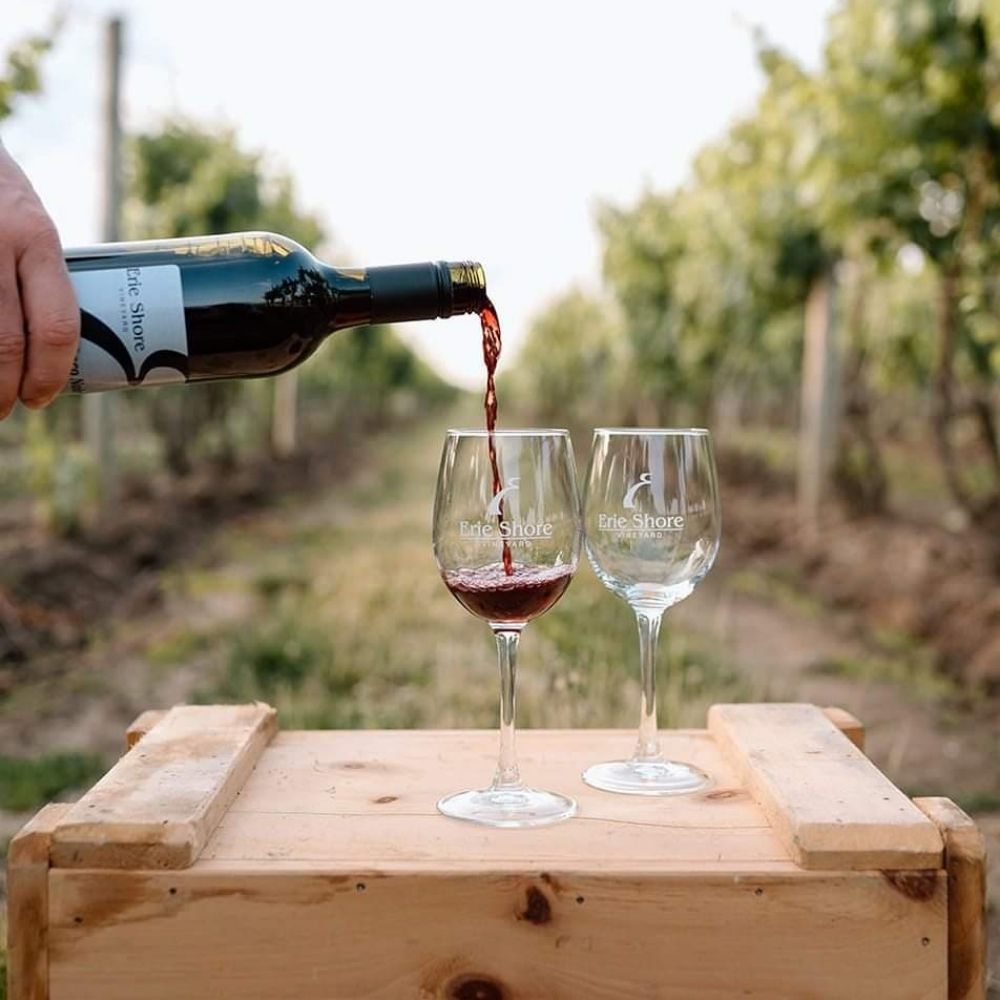 Erie Shore Vineyard
