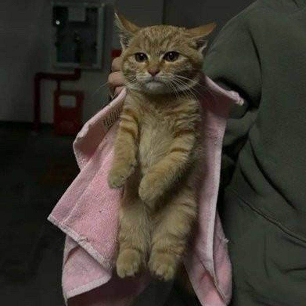 라뮈