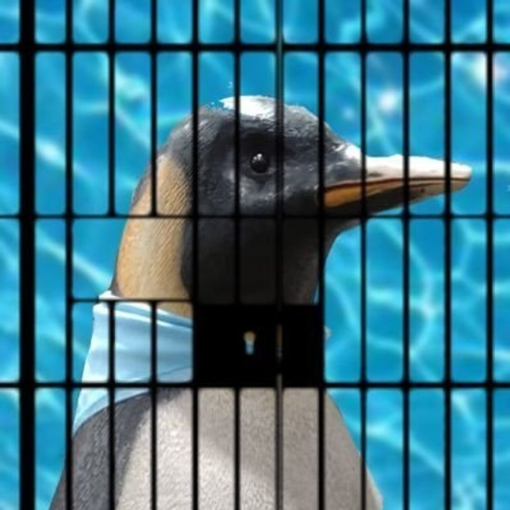 🐧ワタリドリ🐧