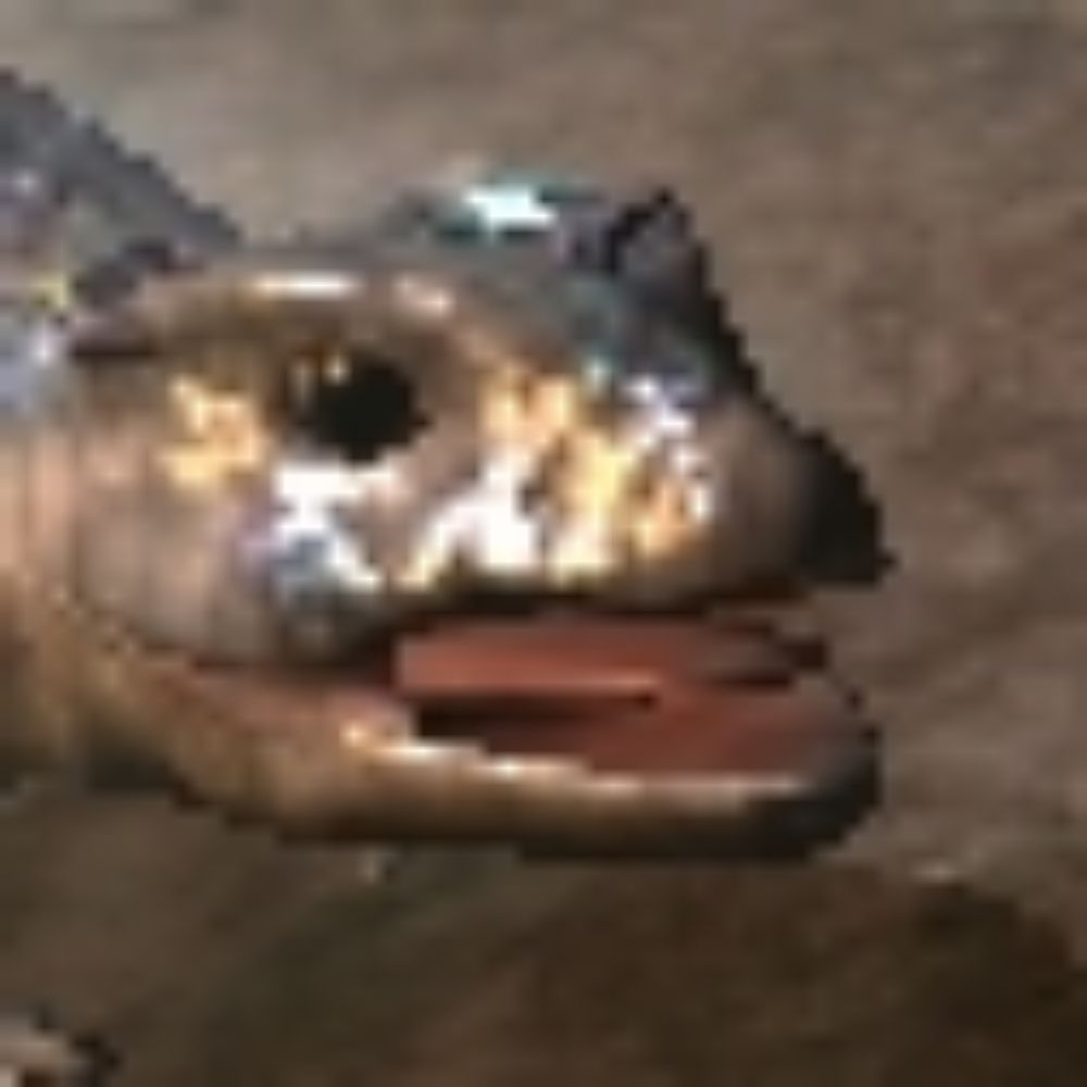 Iron Skelco
