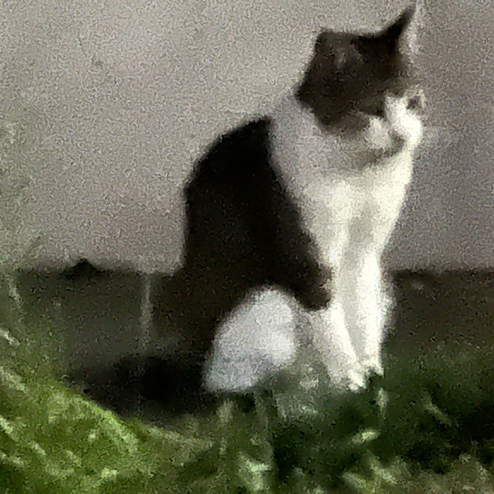 nekotake2005