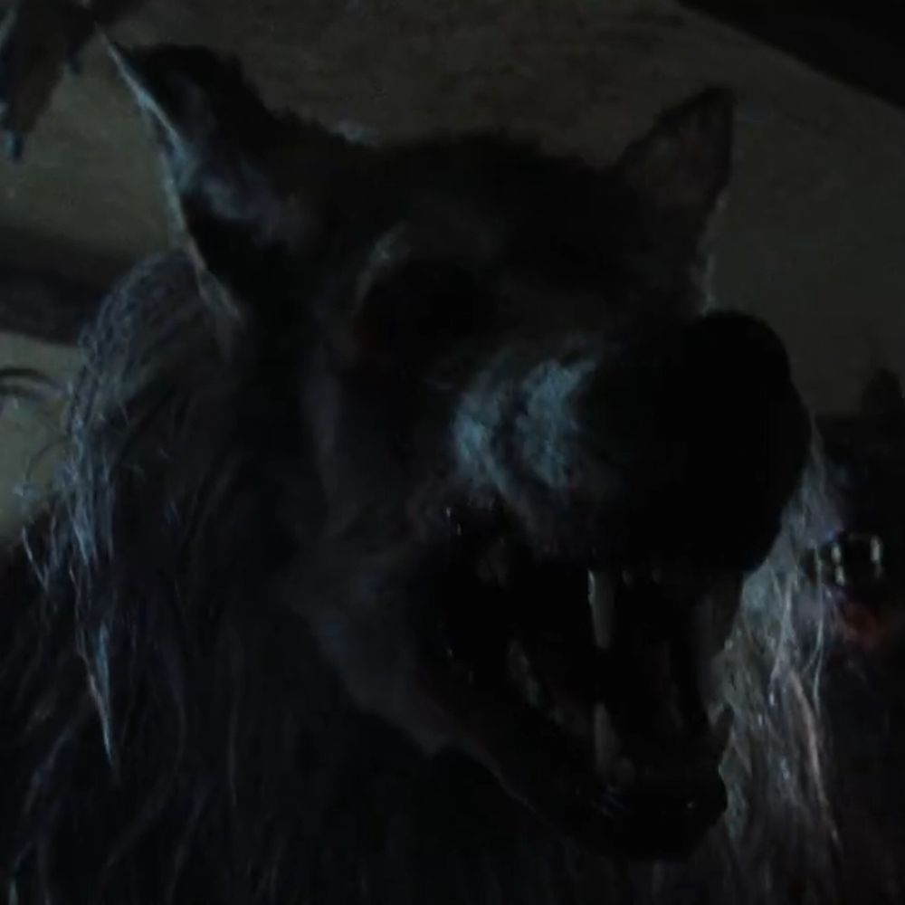 Doggo Jones