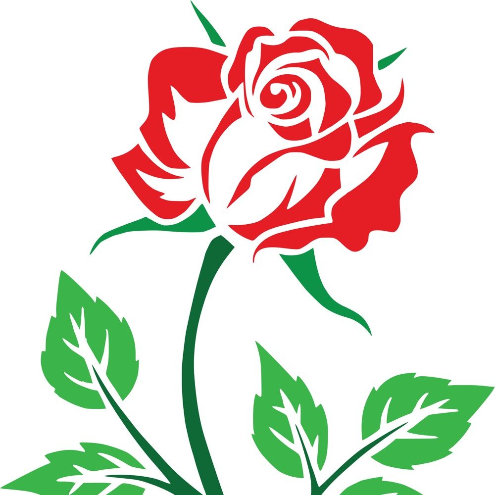 D Rosy