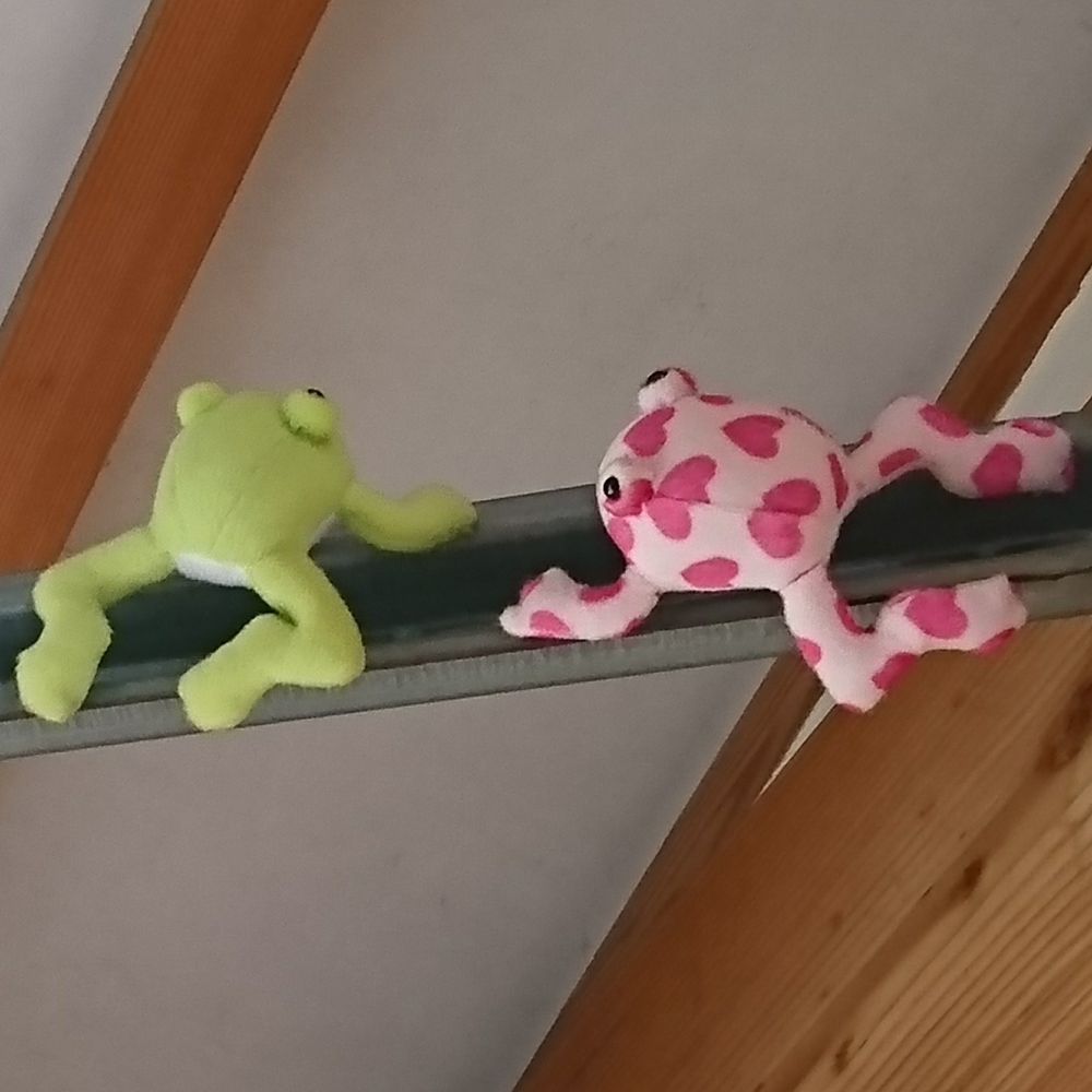 ぶい🍃