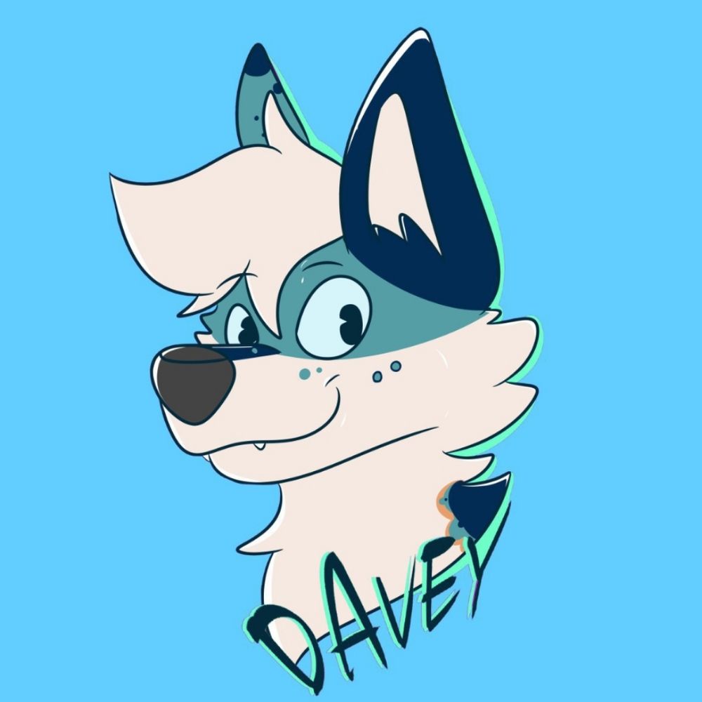 Davey The Husky