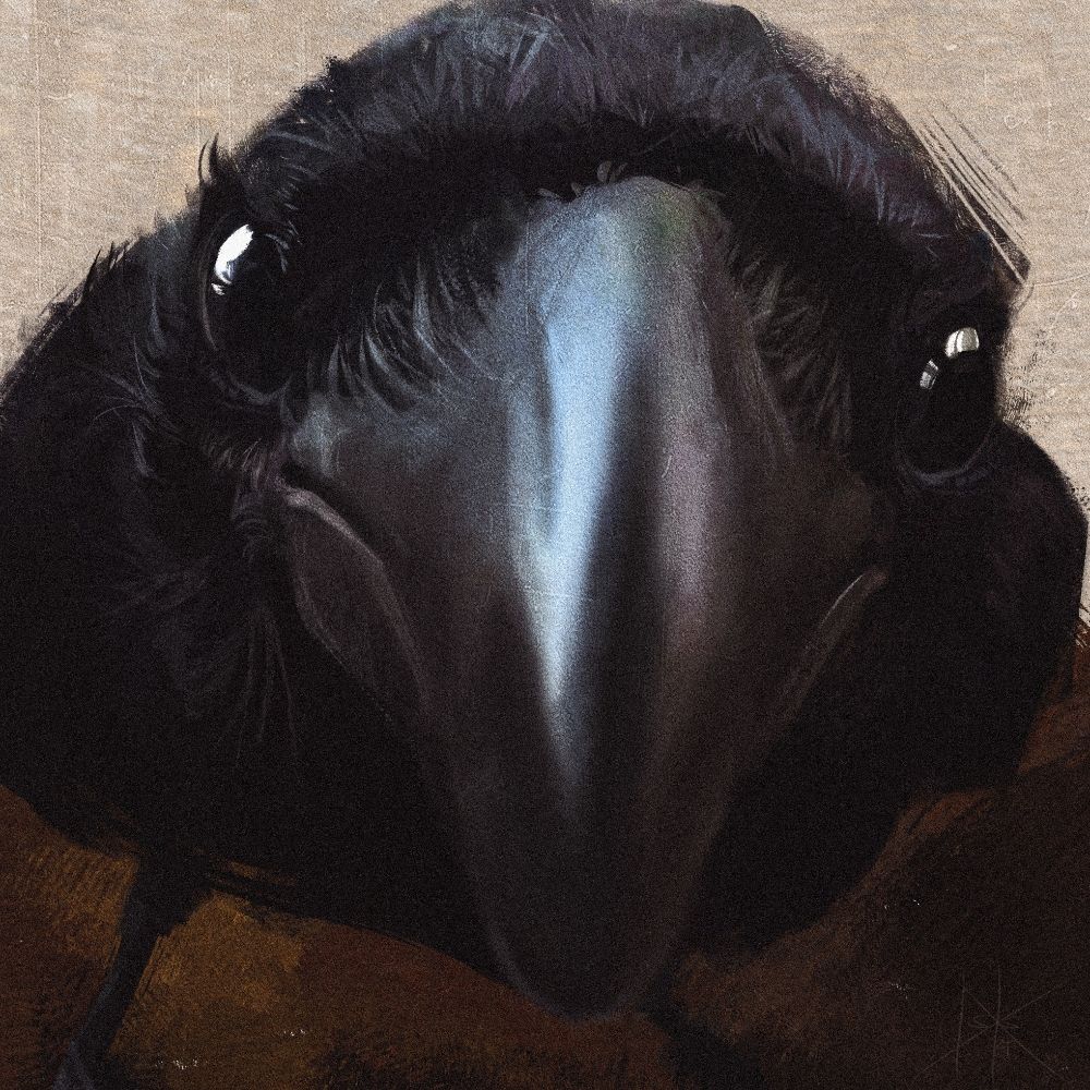 Deb
