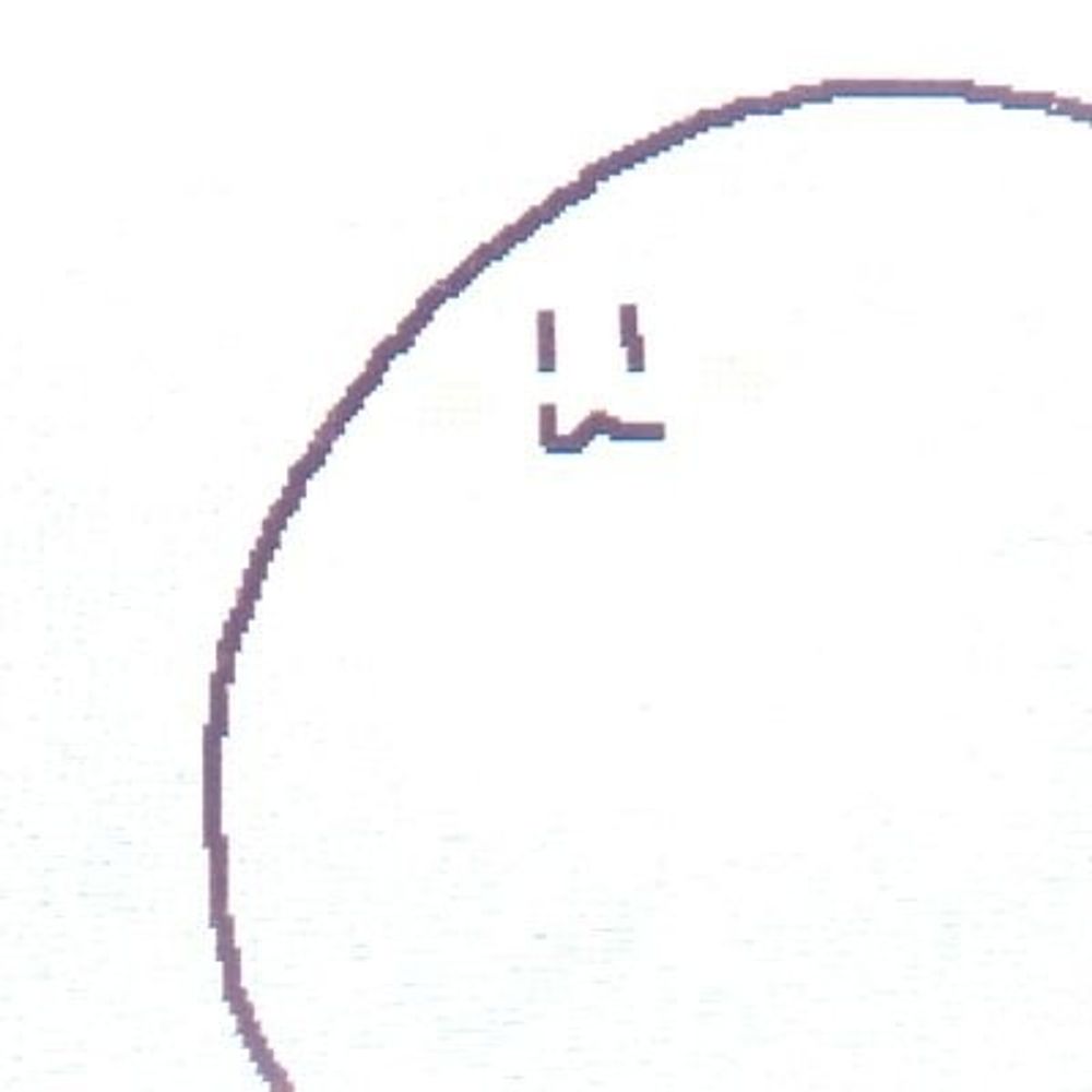 ねぎとろ