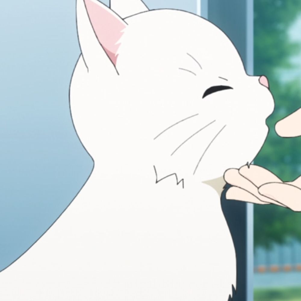 まんじゅう