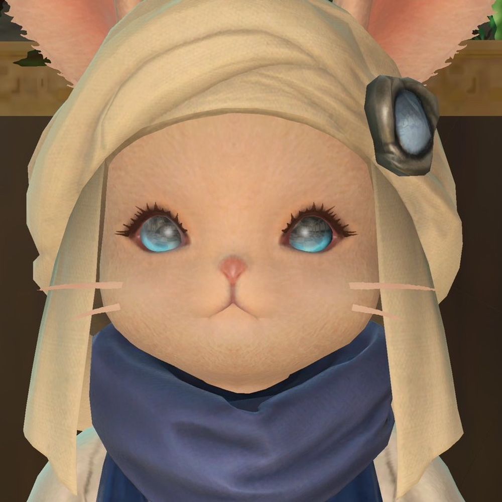 めるぞ〜🐏