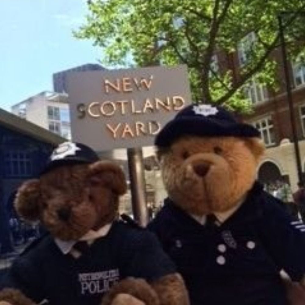 Emergency Teds