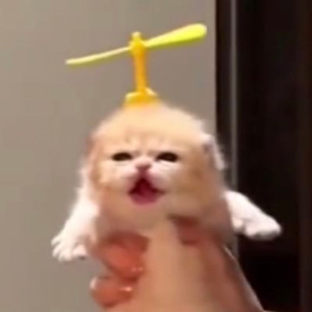 the jiminator