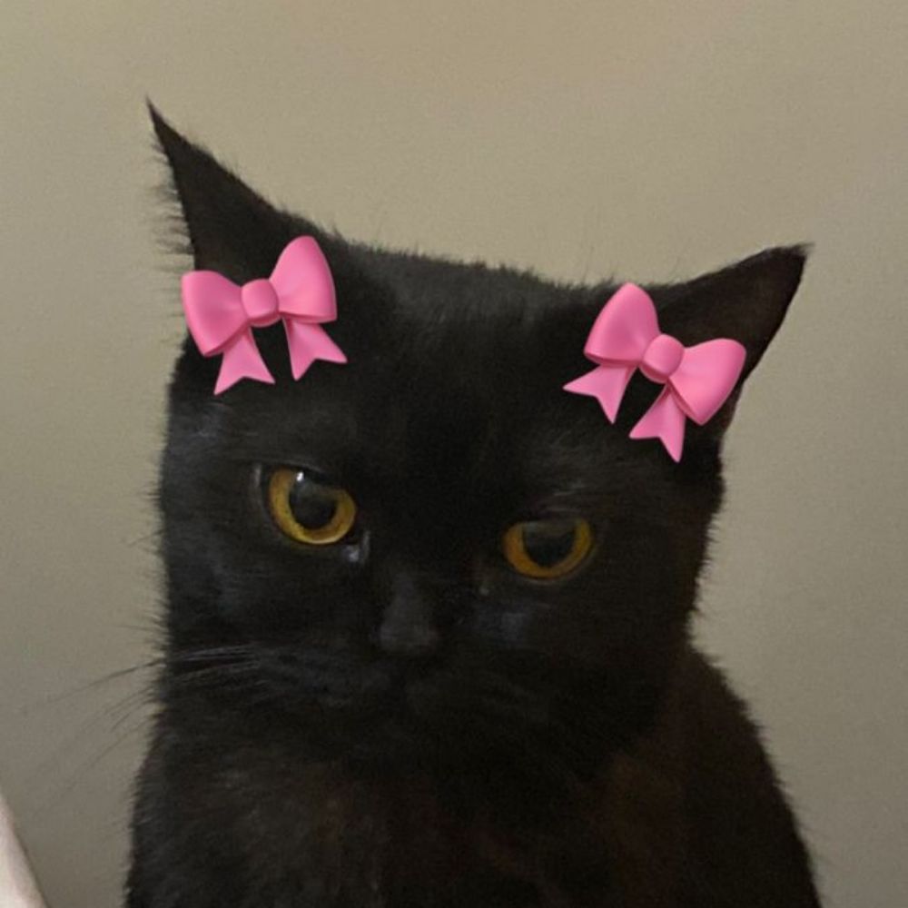 Amanda 
