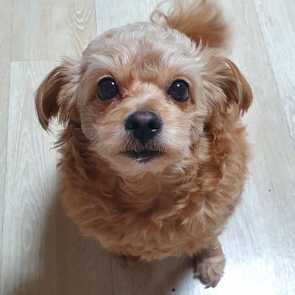 아리아드나