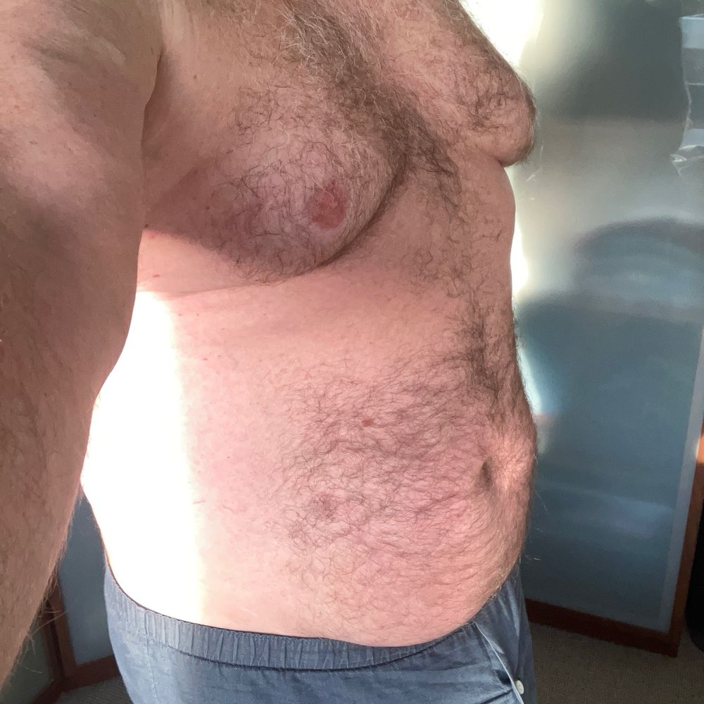 Dutch Bear
