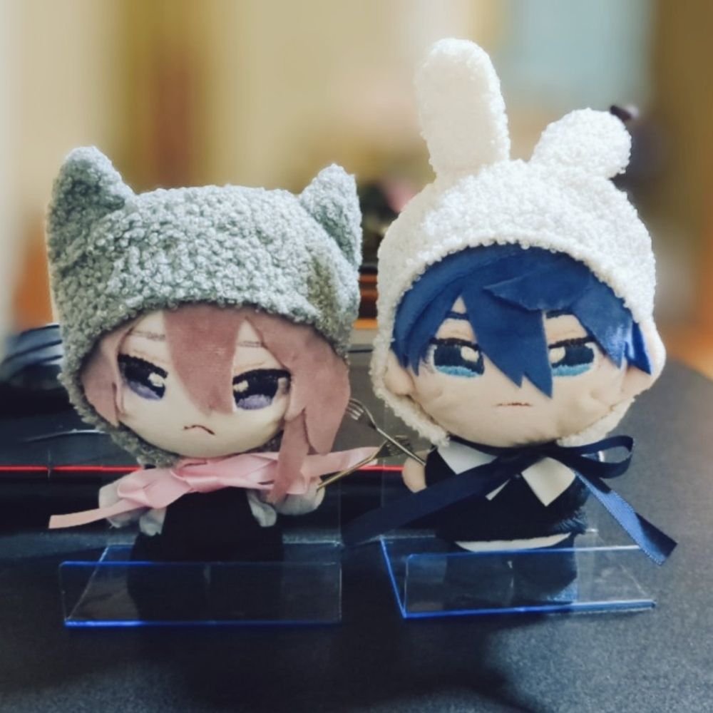 🌊😺