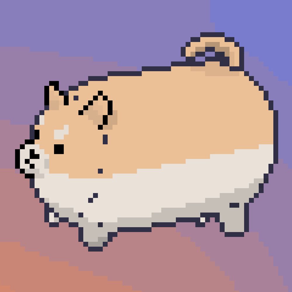 chib