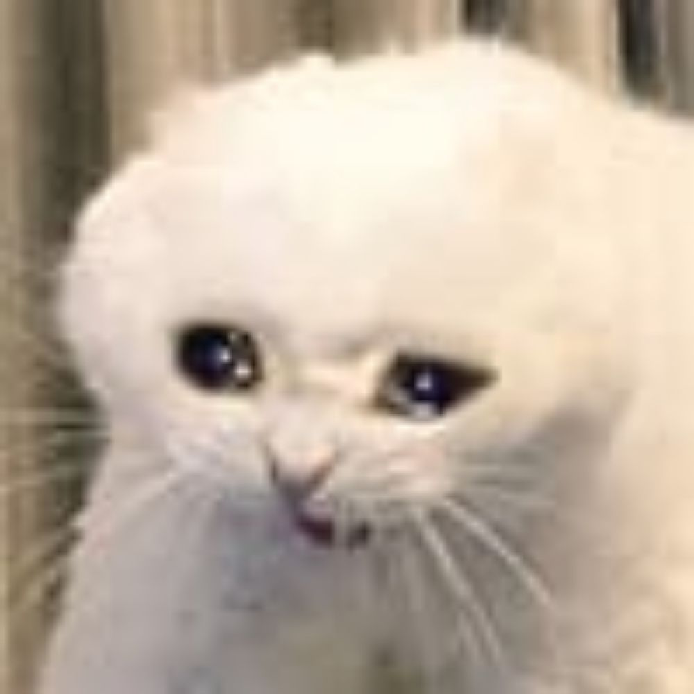 연누
