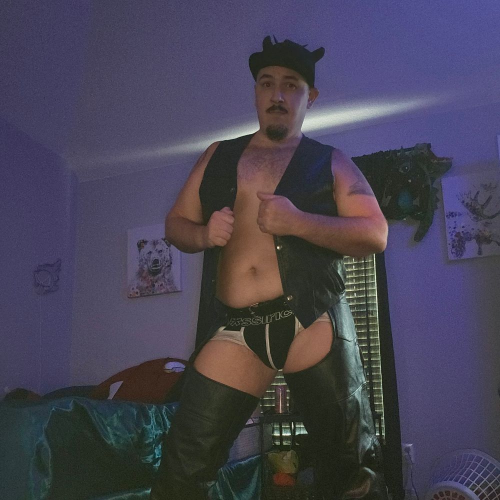 Boogie The GoGo Pup