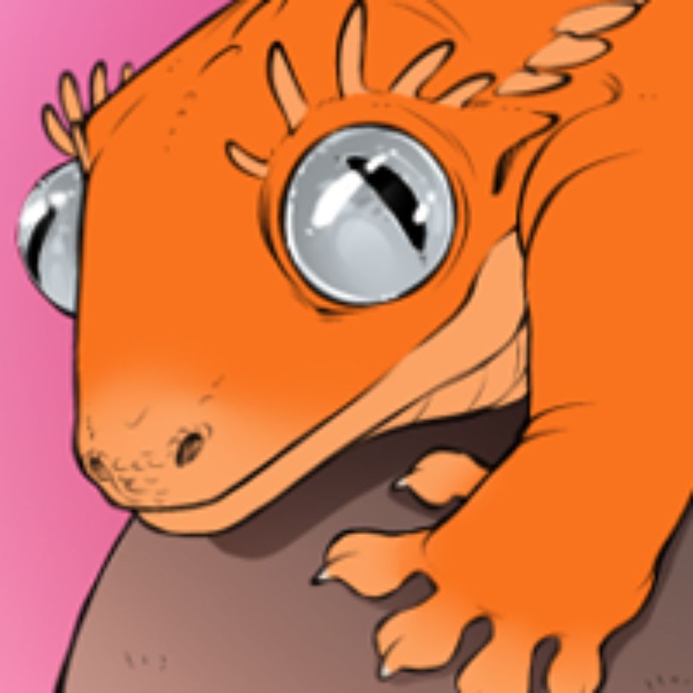 🏴󠁧󠁢󠁷󠁬󠁳󠁿 KittehMei 🖌️🎨's avatar