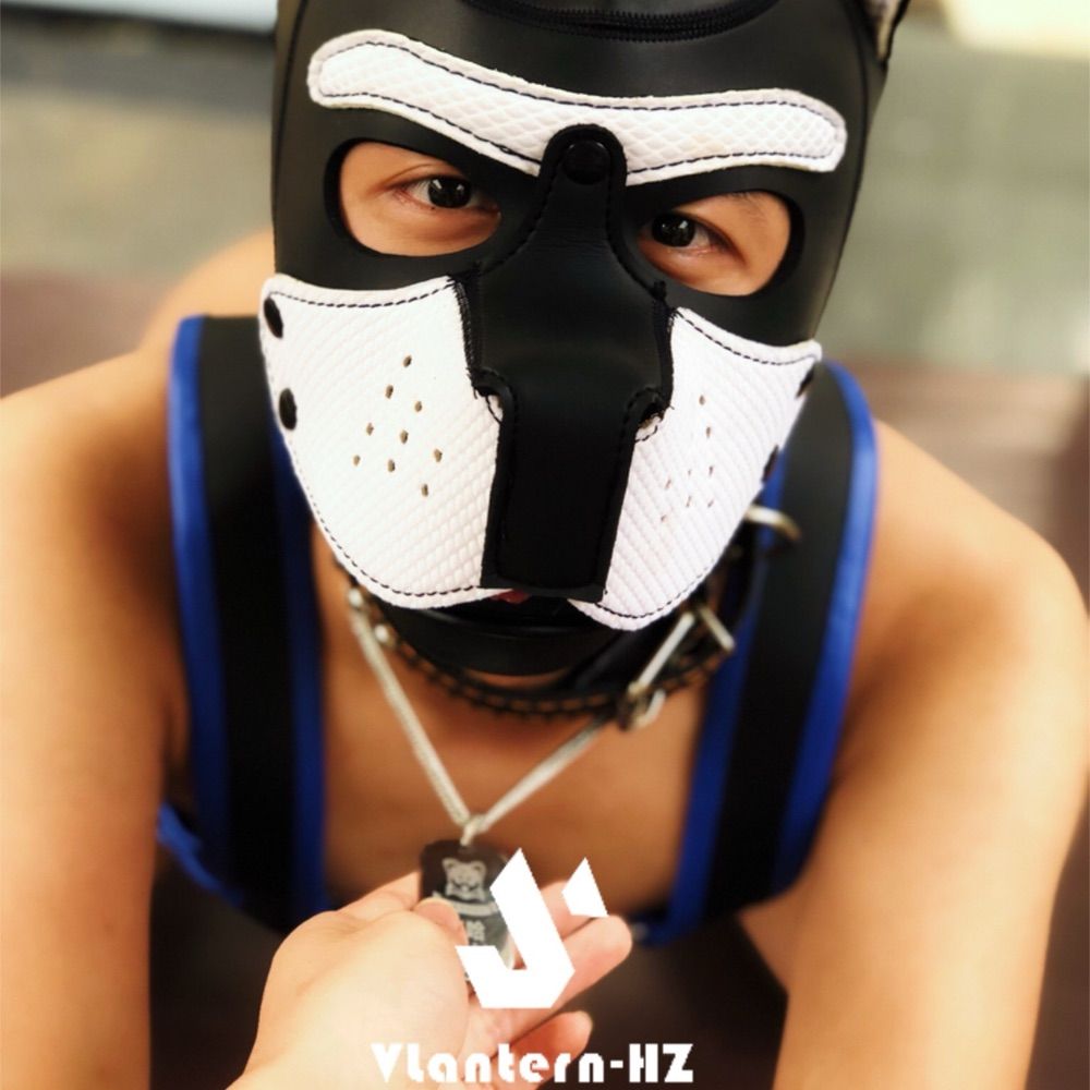 类人型犬类生命体