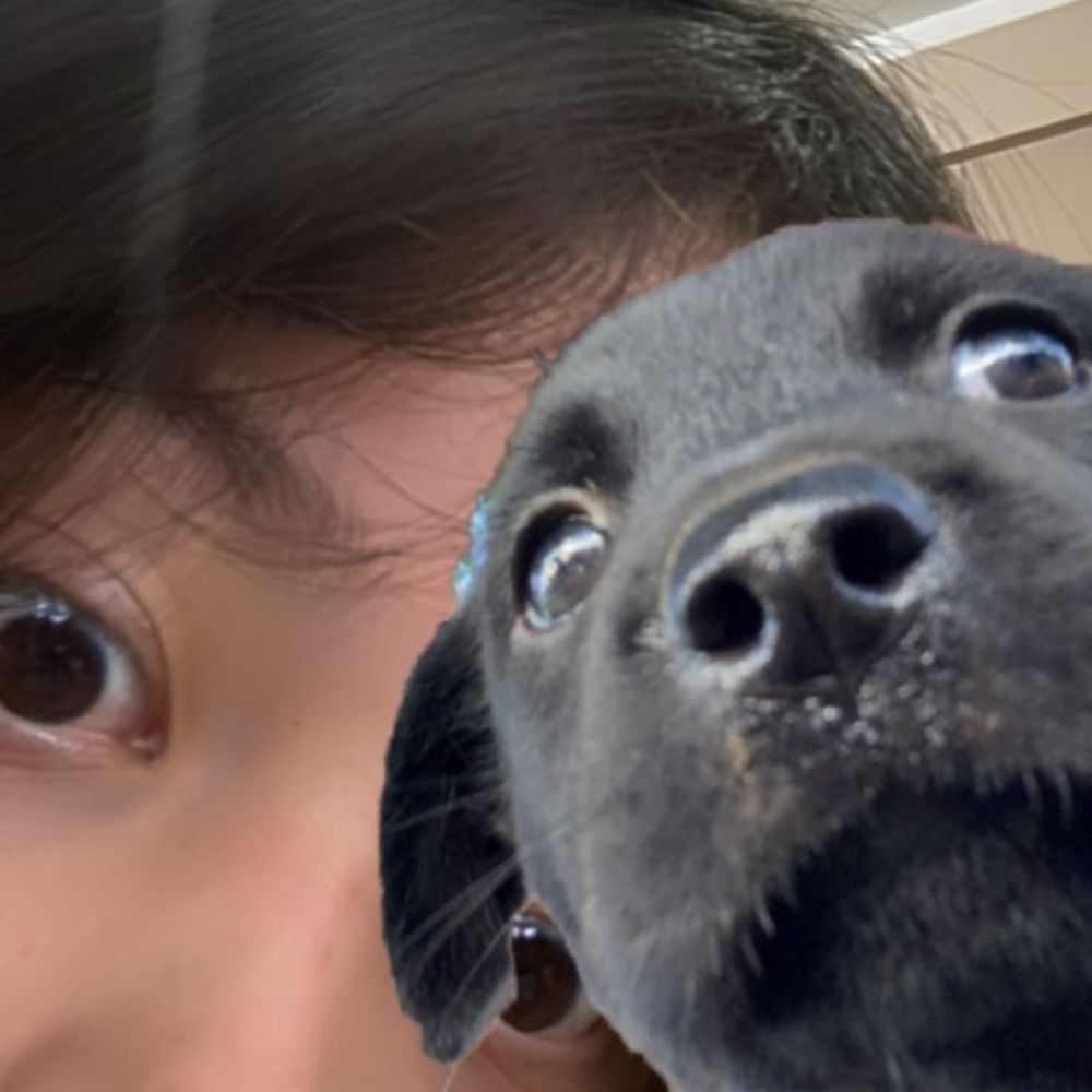 ni