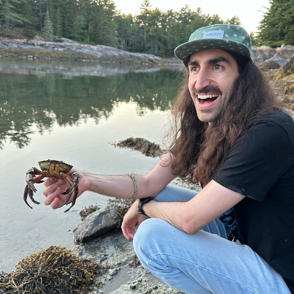Dan Bruzzese