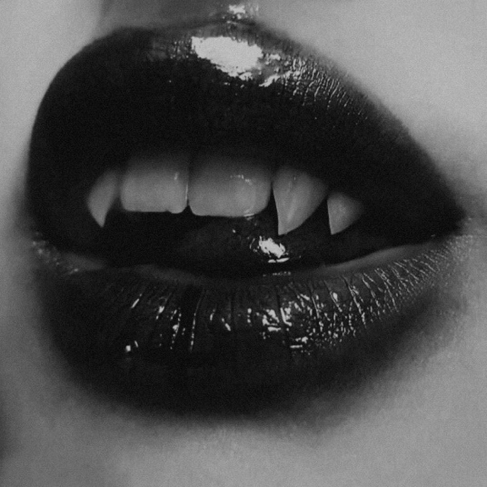 𝕾𝖊𝖉𝖚𝖘𝖆,💋🥀✨