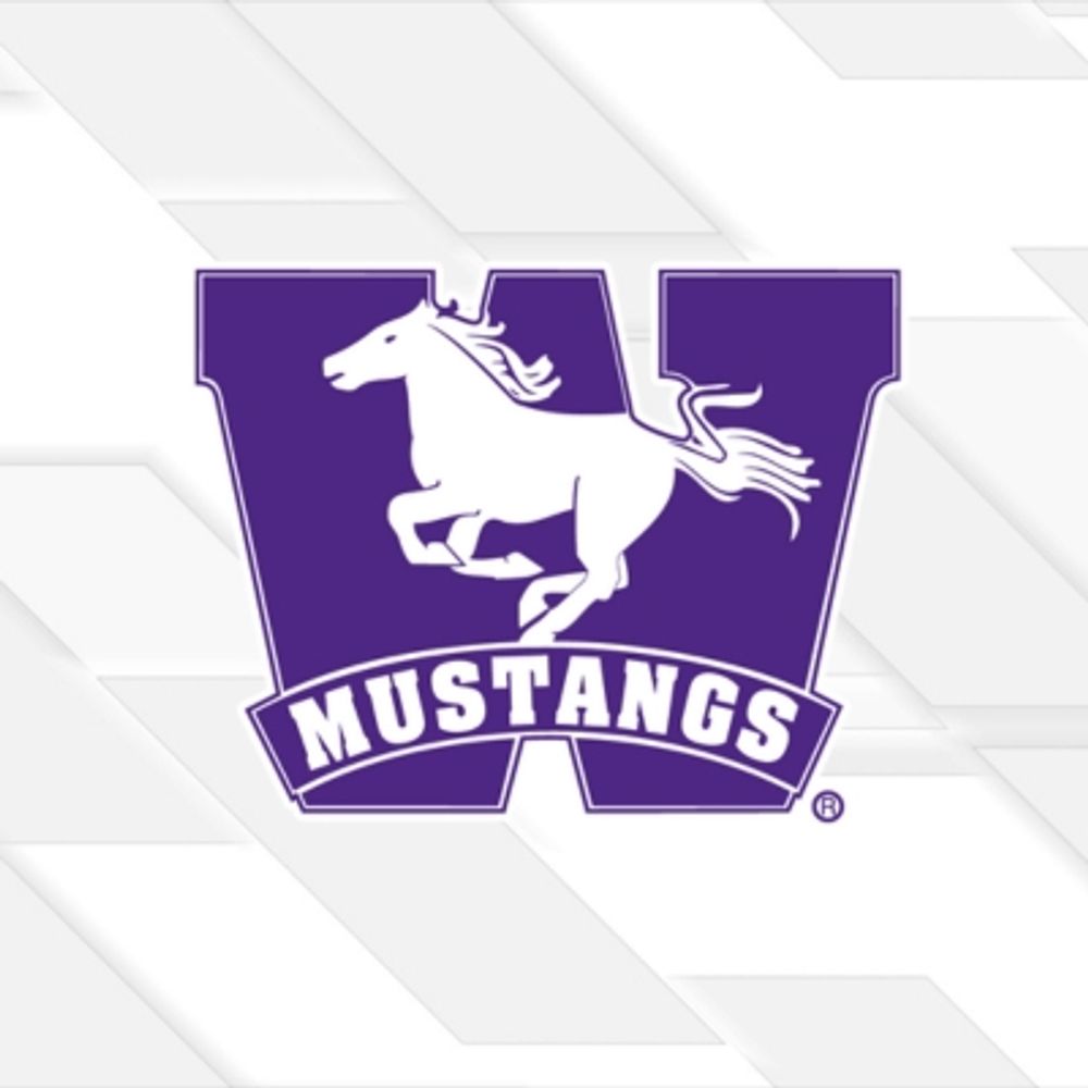 Western Mustangs